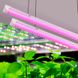 Фито светильник Т8 600 мм 8W IP20 для растений серия ECO
