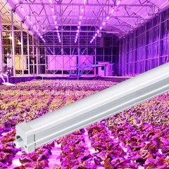 Фіто світильник 1200 мм 36W IP65 для рослин серія ECO