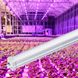 Фіто светильник 1200 мм 36W IP65 для растений серия ECO